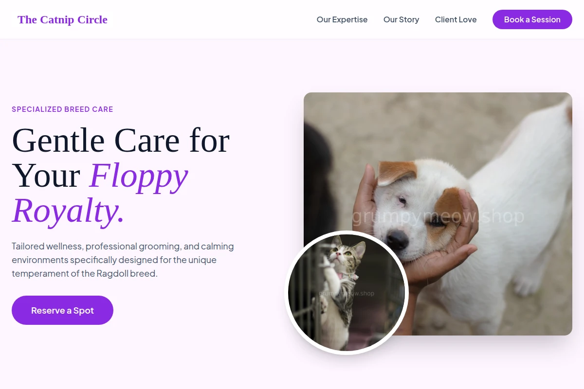 Ragdoll Animal Care
