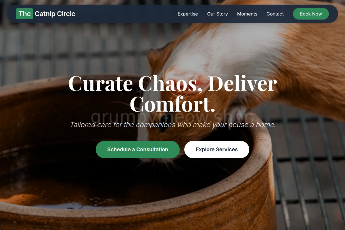 Paws Animal Care