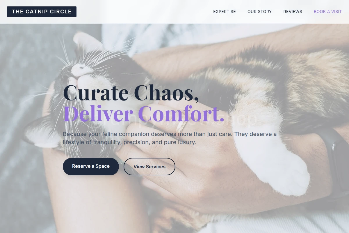 Tabby Animal Care