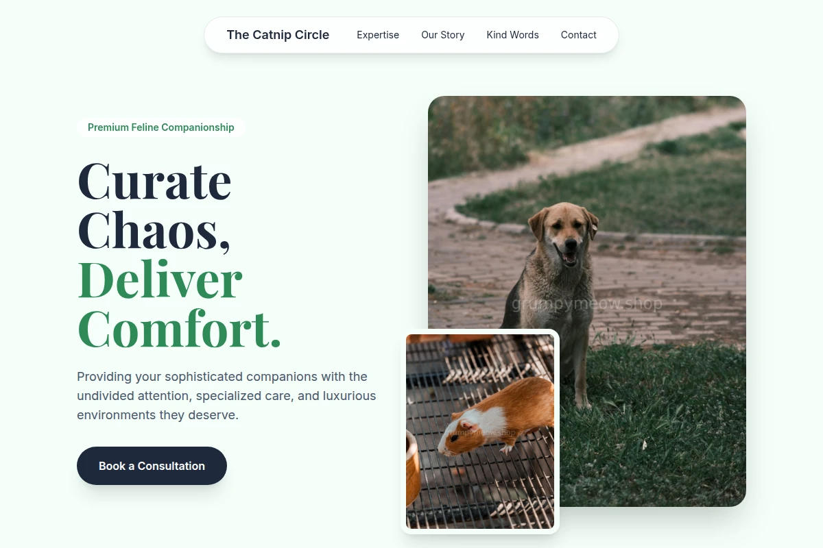 Chonk Animal Care