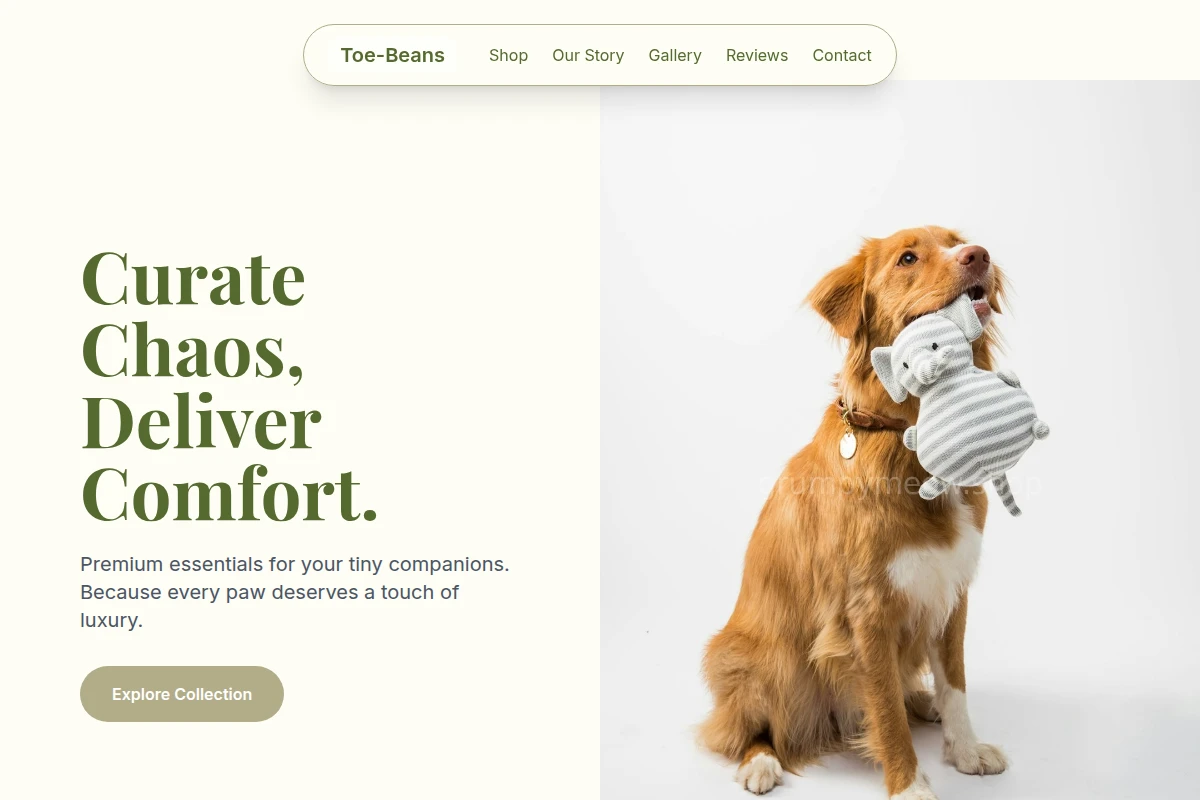 Toe-Beans Pet Shop