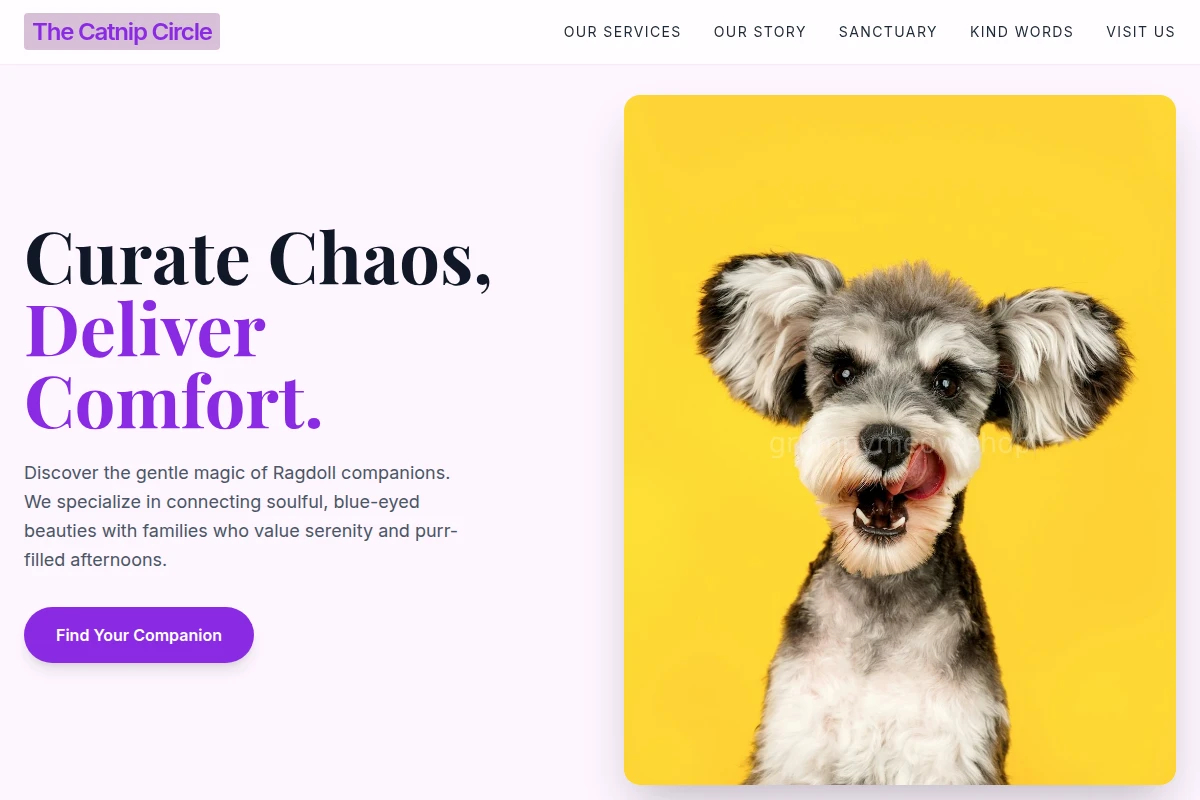 pet-shop